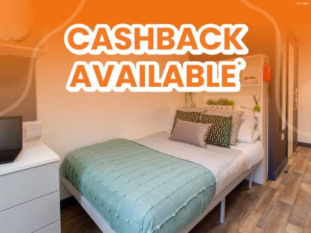 Classic Studio Student flat to rent on 6 Raleigh Street, Plymouth, PL1