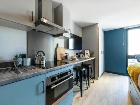 Standard Larger Studio Student flat to rent on Herbert Street, Cardiff, CF10