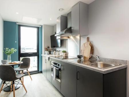 Ultra Premium 2 Bed Apartment Student flat to rent on Herbert Street, Cardiff, CF10