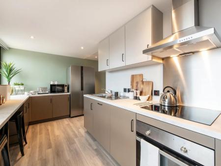 Ultra Premium 5 Bed Apartment Student flat to rent on Herbert Street, Cardiff, CF10