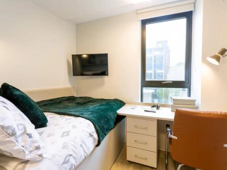 12 Bed Cluster Ensuite Student flat to rent on Alexandra Road, Swansea, SA1