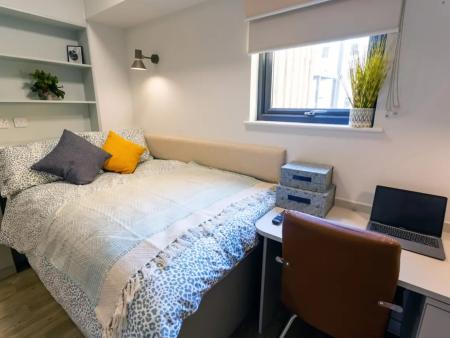 Deluxe Studio Student flat to rent on Alexandra Road, Swansea, SA1