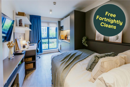 Bronze Studio Student flat to rent on Portswood Road, Southampton, SO17