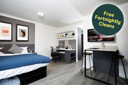 Platinum Accessible Studio Student flat to rent on Portswood Road, Southampton, SO17