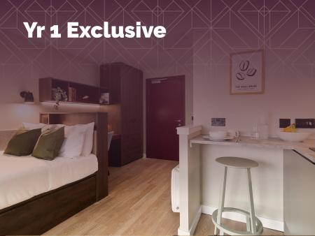 Classic Studio Student flat to rent on Swan Street, Glasgow, G4