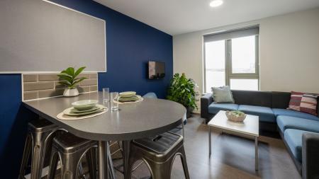 Bronze Sky View Ensuite 5 bed student flat to rent on Kennedy Street, Glasgow, G4