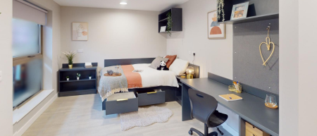 Diamond Studio Student flat to rent on Duncombe Street, Leeds, LS1