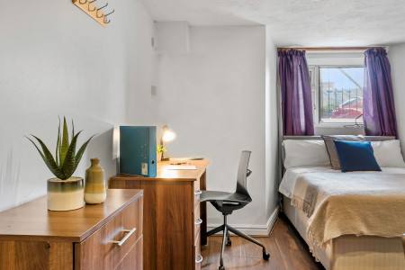 1 Bedroom Apartment