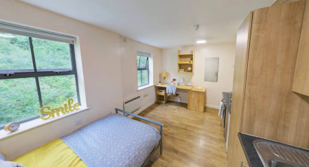 Gold Studio Student flat to rent on Hotwell Road, Bristol, BS8