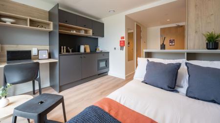Classic Studio Student flat to rent on East Newington Place, Edinburgh, EH9
