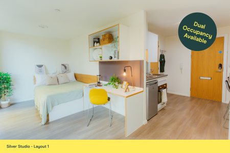 Silver Studio Student flat to rent on Bridge Street, Cardiff, CF10