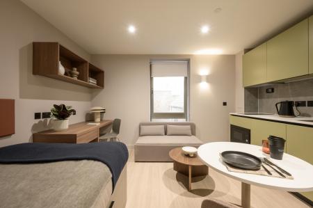 Deluxe Studio Spacious Bathroom Student flat to rent on Dunedin Street, Edinburgh, EH7