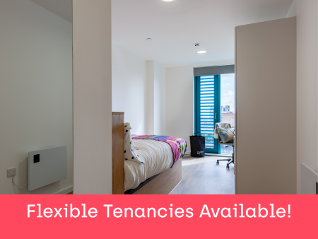 Silver En Suite 1 bed student flat to rent on Ty Nant, 185 High Street, Swansea, SA1