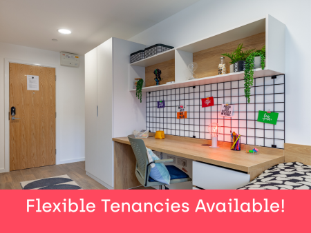 Silver Studio Student flat to rent on Ty Nant, 185 High Street, Swansea, SA1