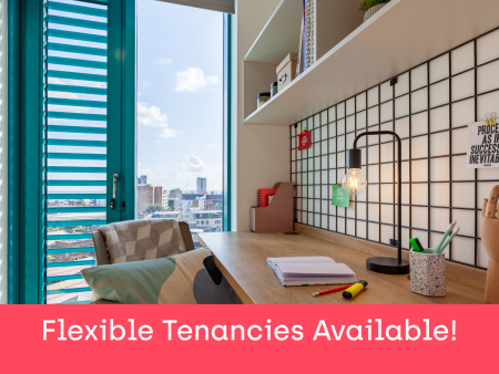 Penthouse En Suite 1 bed student flat to rent on Ty Nant, 185 High Street, Swansea, SA1