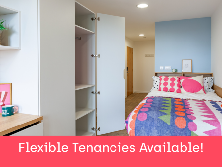 Platinum En Suite 1 bed student flat to rent on Ty Nant, 185 High Street, Swansea, SA1