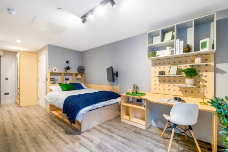Studio Exec Student flat to rent on University Road, Belfast, BT7