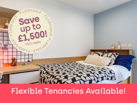 Gold Studio Student flat to rent on Ty Nant, 185 High Street, Swansea, SA1