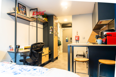 Classic Studio room