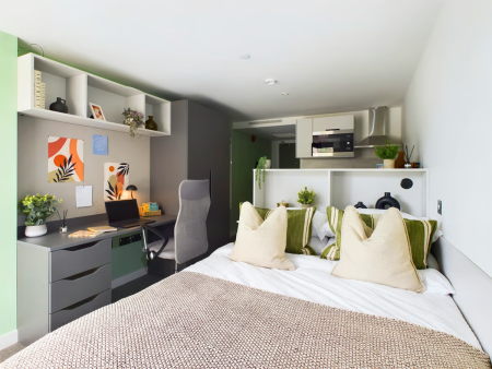Gold Plus Studio Student flat to rent on Frederick Street, Belfast, BT1
