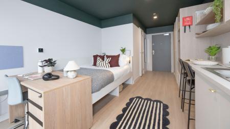 Gold Studio Student flat to rent on Lower Gilmore Place, Edinburgh, EH3
