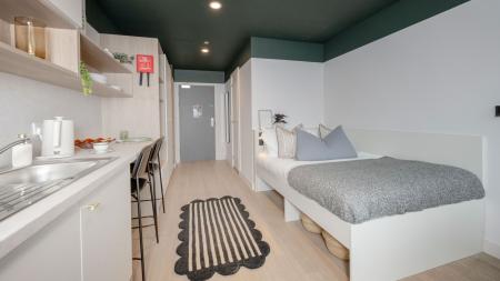 Gold Plus Studio Student flat to rent on Lower Gilmore Place, Edinburgh, EH3