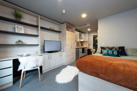 Premium Accessible Studio Student flat to rent on Garden Street, Sheffield, S1