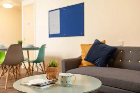 En suite - Silver Deluxe 1 bed student flat to rent on Belgrave Middleway, Birmingham, B5