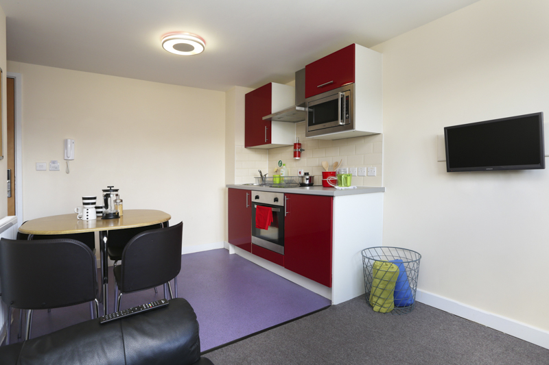 Premier Luxe Studio Tallis Court student 2 bed flat to rent on Parham