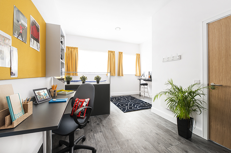 Studio Accommodation In London Premium Studio Dual