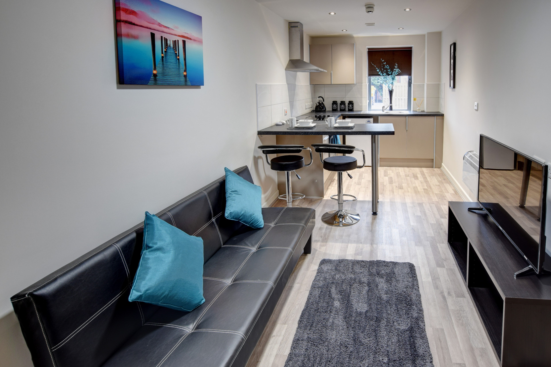 Apartment Premium Deluxe student 1 bed flat to rent on Holborn Approach