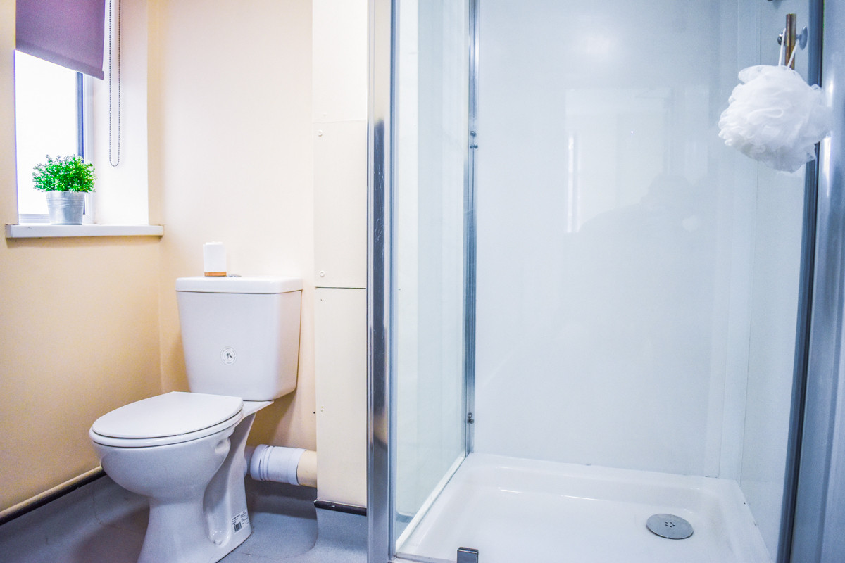 Superior Non Ensuite Student 7 Bed Flat To Rent On Catharine Street superior-non-ensuite-student-7-bed-flat-to-rent-on-catharine-street