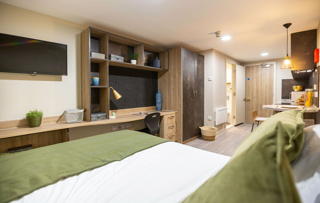 Compact Basement Studio student flat to rent on Hinton Road