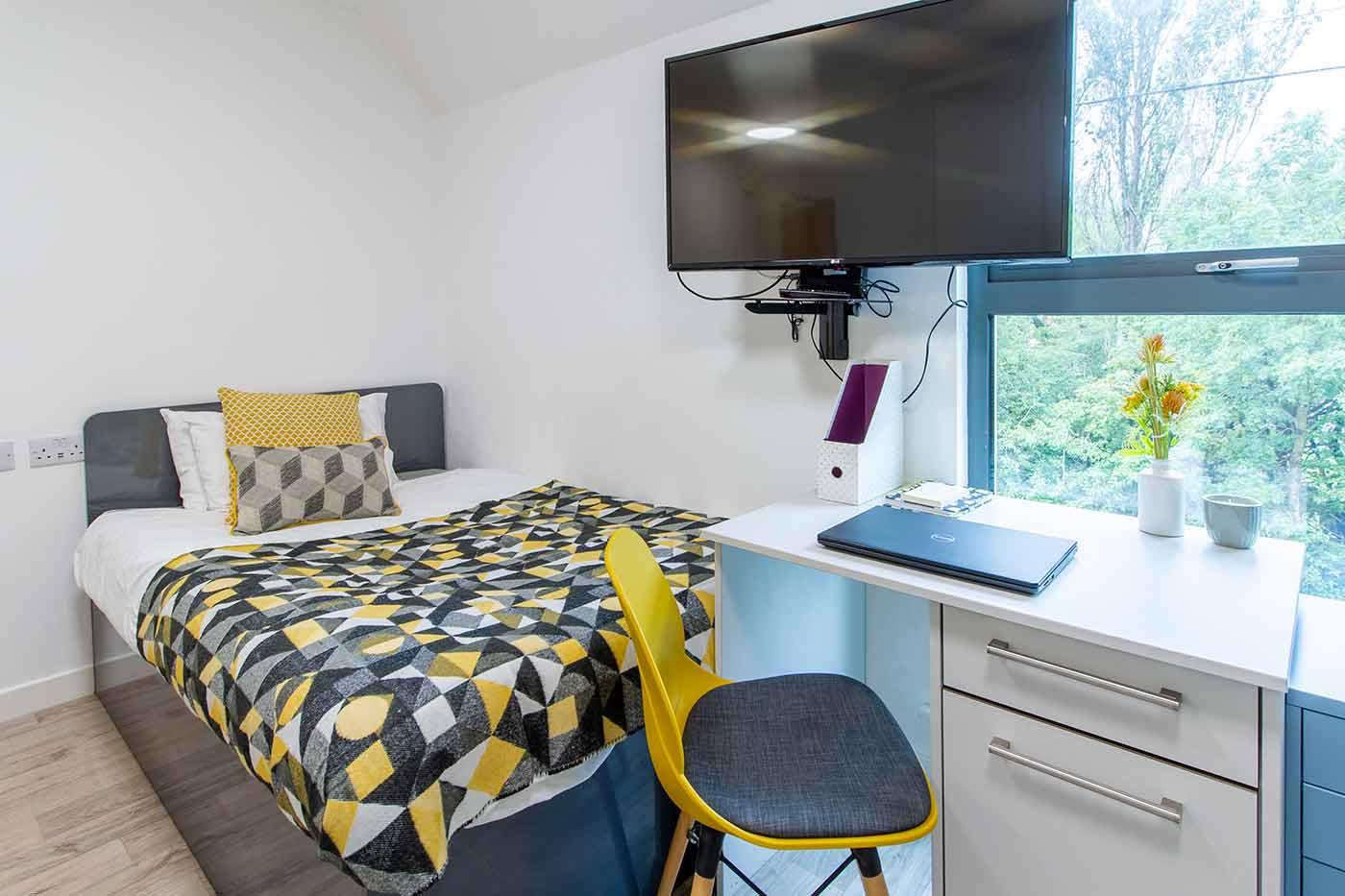 Deluxe Accessible Studio