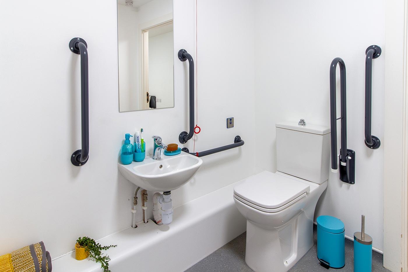 Deluxe Accessible Studio bathroom