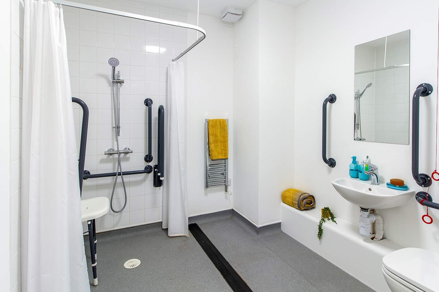 Deluxe Accessible Studio bathroom