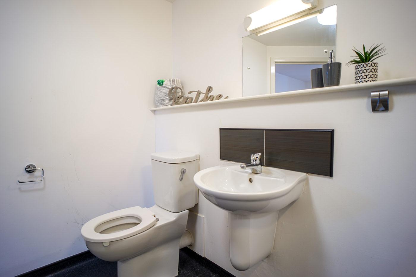 Platinum Ensuite bathroom