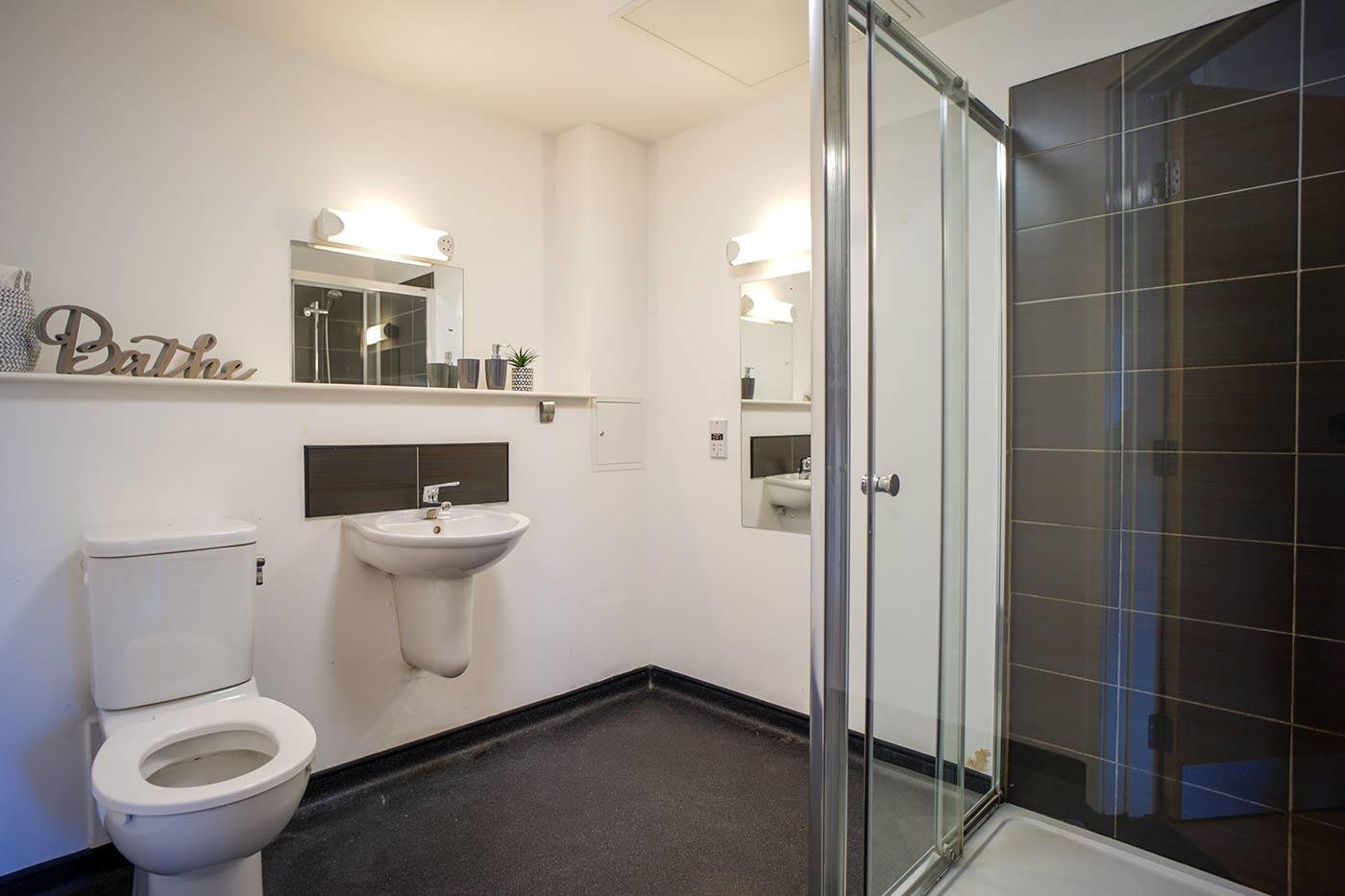 Platinum Ensuite bathroom
