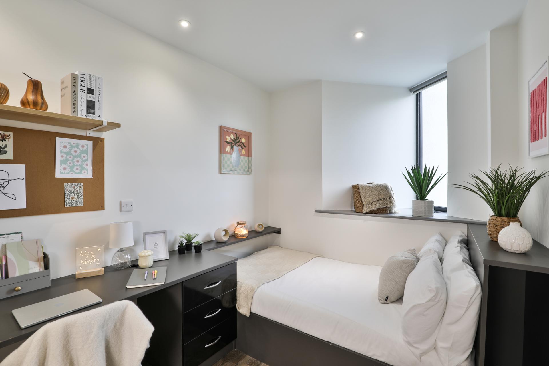 Standard Plus Studio