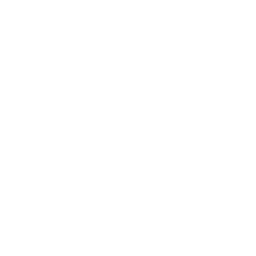 Pen icon